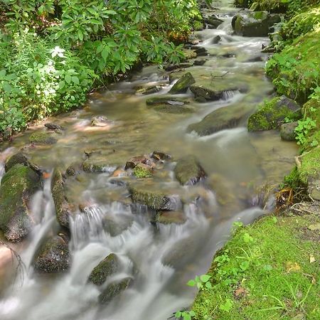 Panther Creek Cabins Чероки Екстериор снимка