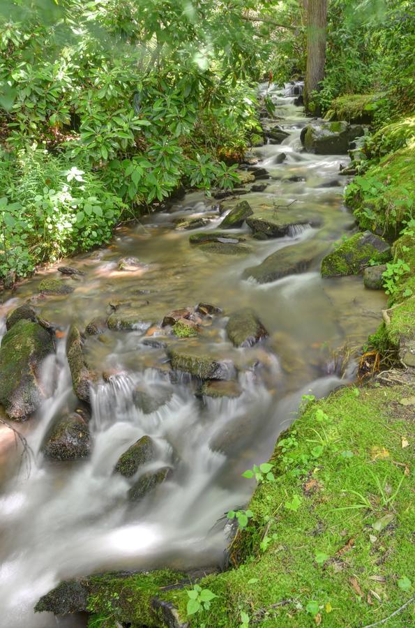 Panther Creek Cabins Чероки Екстериор снимка